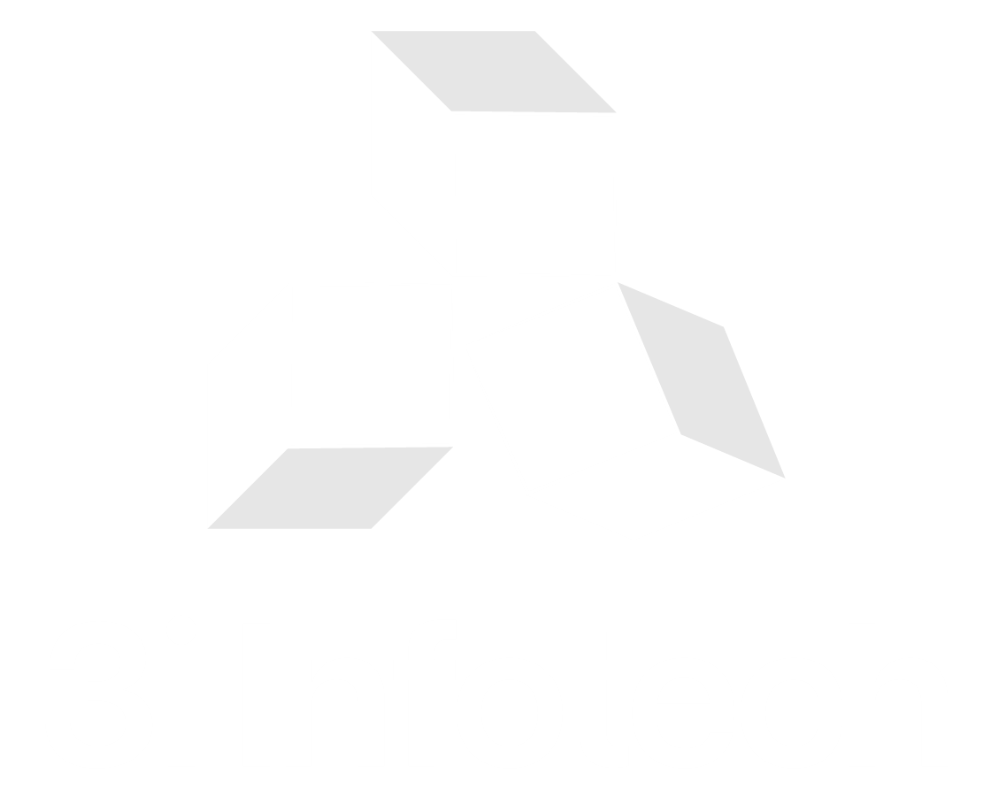 3i Infotech - IT Services
